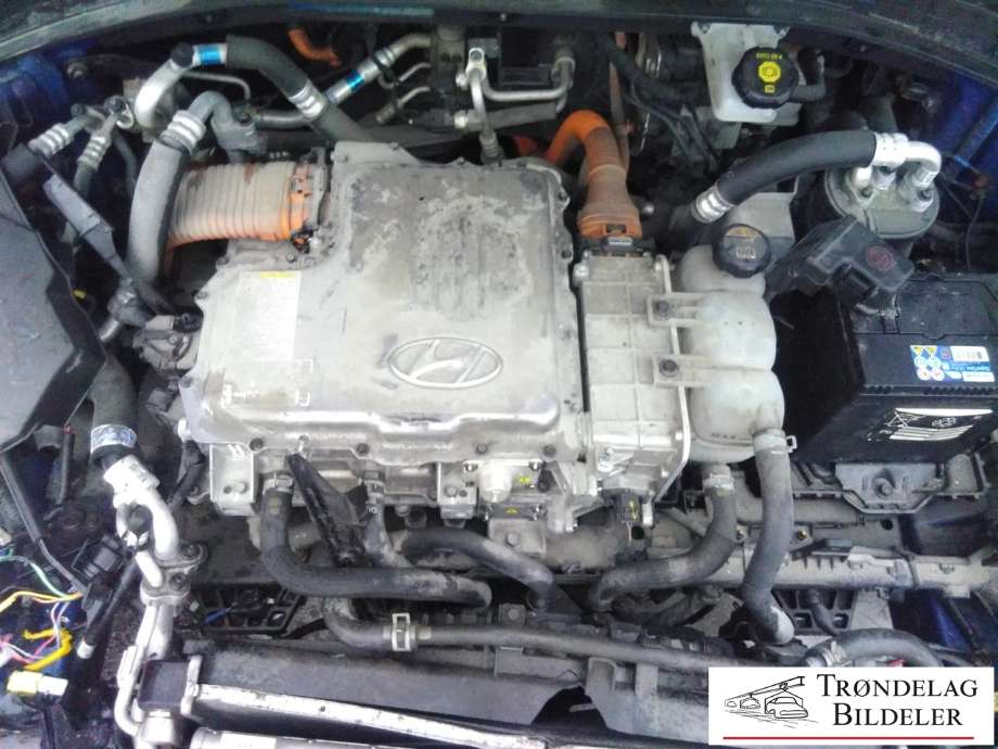 Hyundai Ioniq Electric 2016-2019 (Fase 1) , Motorkode: EM09, Girkassekode: 