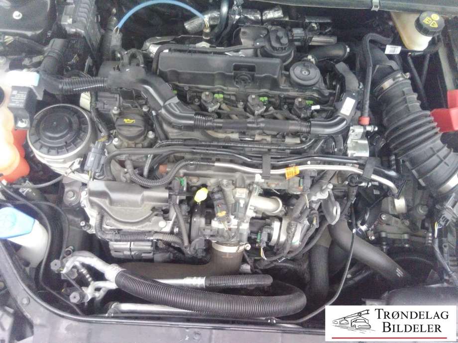 Ford Mondeo 2014-2019 (Type V, Fase 1) , Motorkode: T8CC, Girkassekode: 