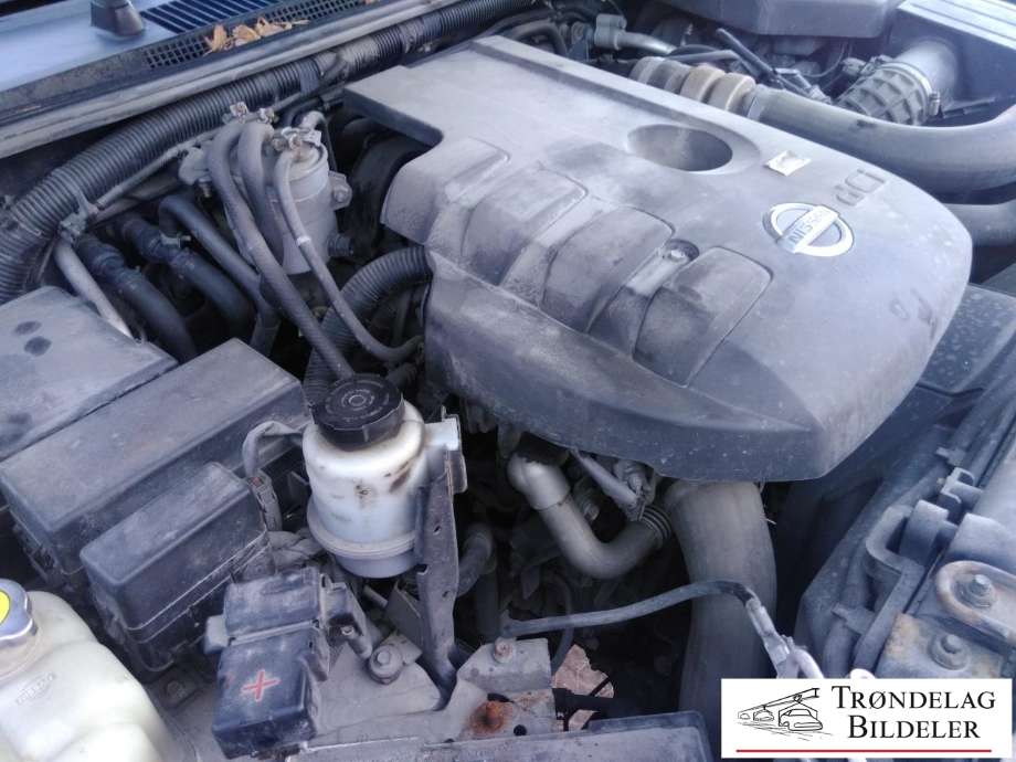 Nissan Pathfinder 2005-2010 (Fase 1) (R51) (R51), Motorkode: YD25, Girkassekode: 