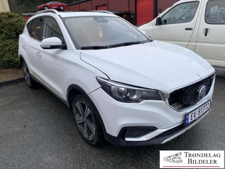 MG ZS EV, 2019-2021 (Type I, Fase 1)  delebil , Motorkode: TZ204XS1481