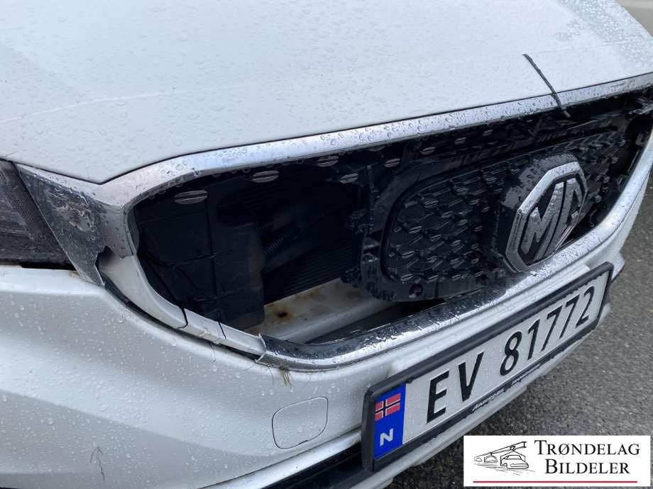MG ZS EV 2019-2021 (Type I, Fase 1) , Motorkode: TZ204XS1481, Girkassekode: