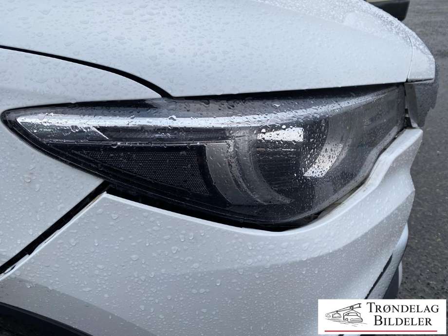 MG ZS EV 2019-2021 (Type I, Fase 1) , Motorkode: TZ204XS1481, Girkassekode: