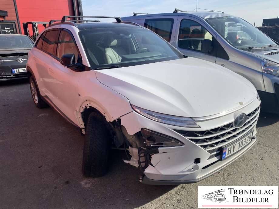 Hyundai Nexo, 2018->>  delebil , Motorkode: FM12