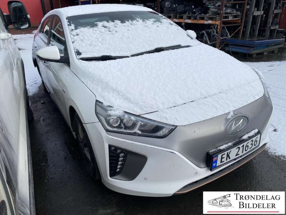 Hyundai Ioniq Electric, 2016-2019 (Fase 1)  delebil , Motorkode: EM09