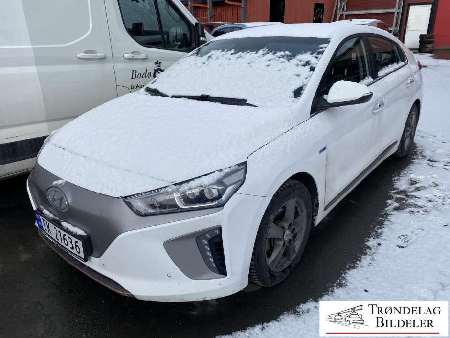 Hyundai Ioniq Electric 2016-2019 (Fase 1) delebil , Motorkode: EM09, Girkassekode: 