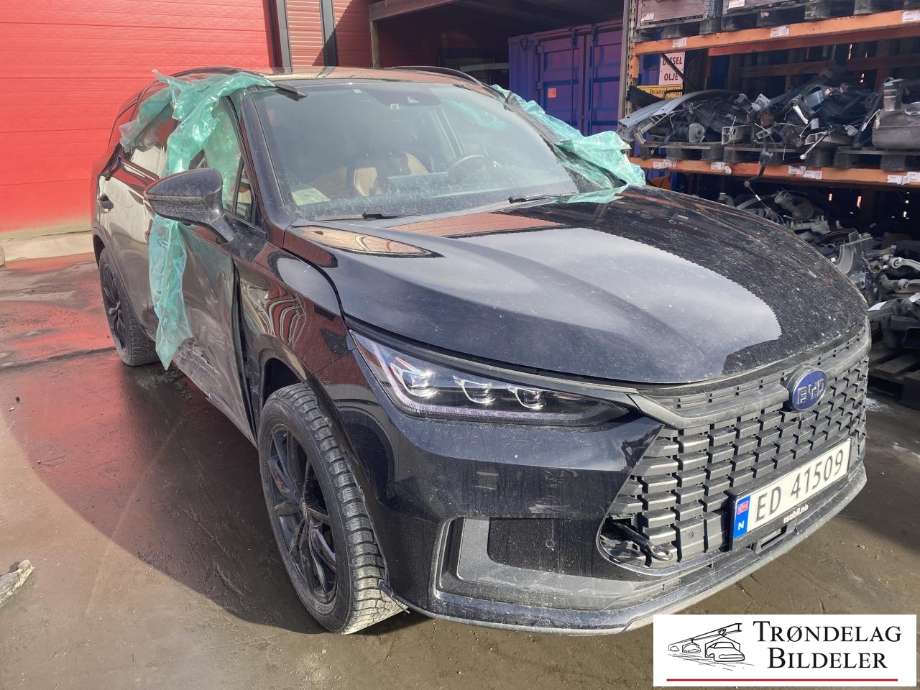 BYD Tang, 2020->>  delebil , Motorkode: TZ200XSN|TZ200XSE