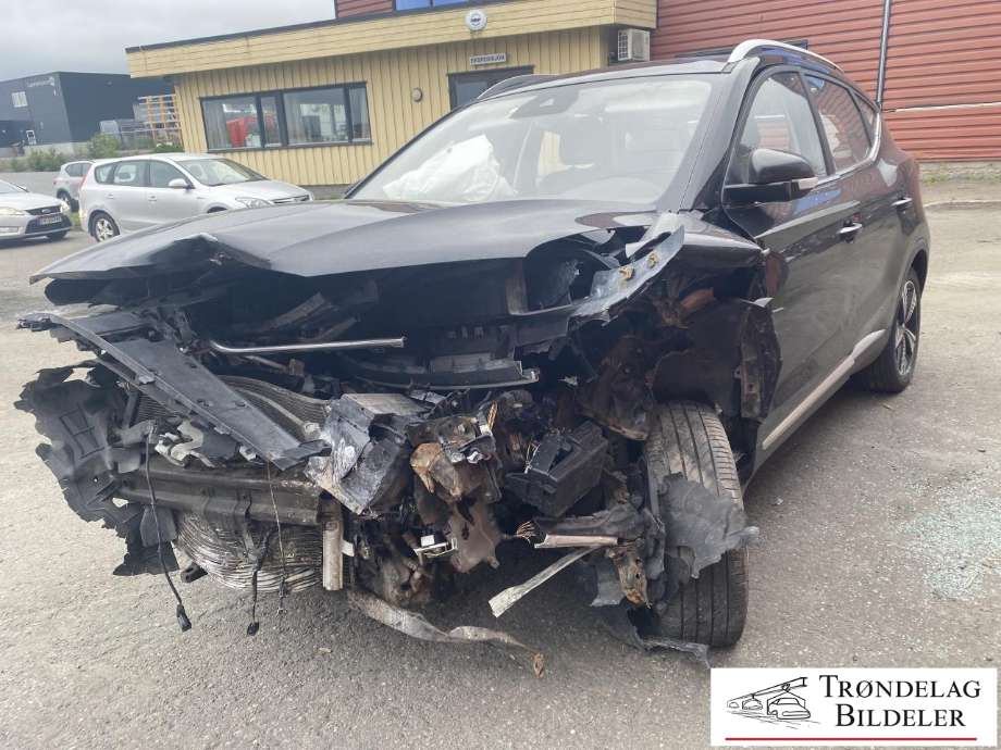 MG ZS EV 2019-2021 (Type I, Fase 1) , Motorkode: TZ204XS1481, Girkassekode: 