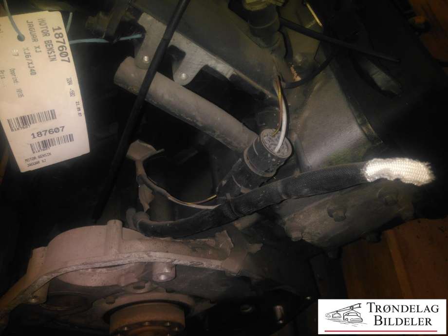 Motor bensin til Jaguar XJ 40 1986-1994 (N/A|)