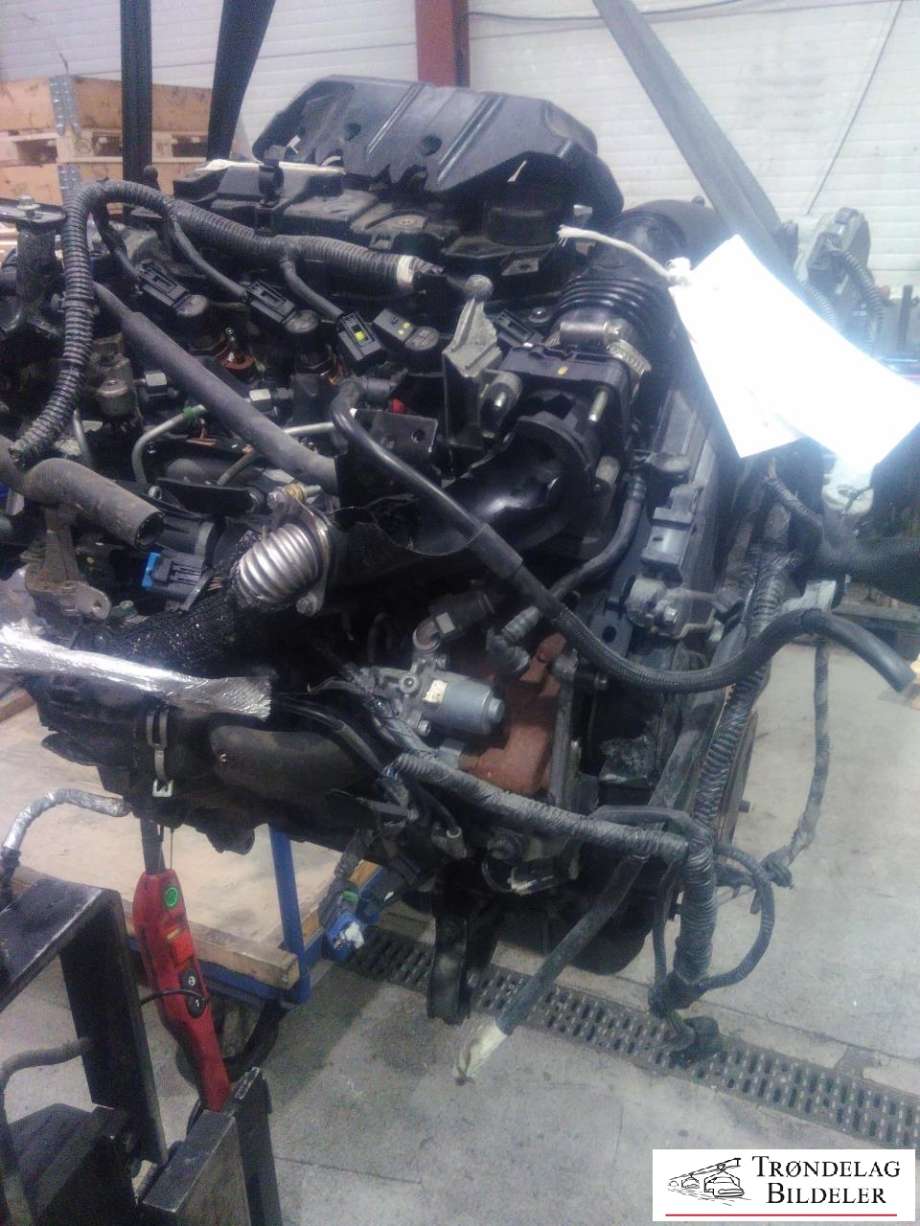Motor diesel til Ford Focus 2011-2014 (Type III, Fase 1)  (T3DB|)