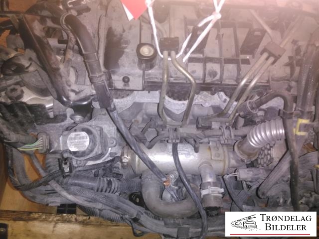 Motor diesel til Ford Focus 2008-2010 (Type II, Fase 2)  (GPDA|7M5Q-6006-AA|)