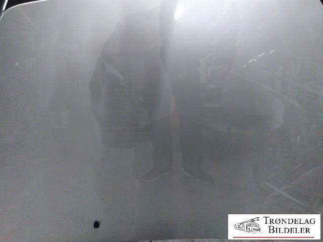 Panser til Volvo S40 2004-2007 (Type II, Fase 1)  