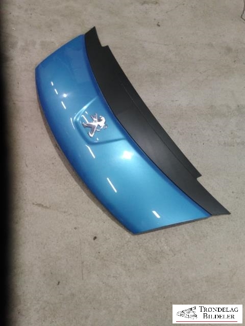 Panser til Peugeot iOn 2011-2020 (7901 S6|16 078 667 80|)