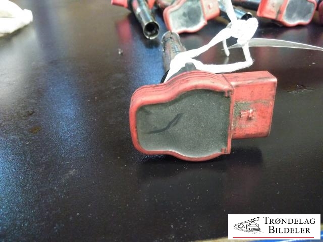 Coil elektronisk til Audi A6 2005-2008 (Type III, Fase 1) (C6) (C6)