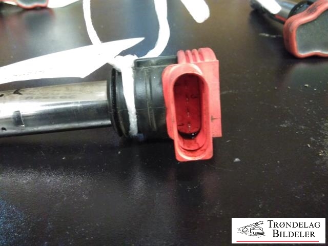 Coil elektronisk til Audi A6 2005-2008 (Type III, Fase 1) (C6) (C6)