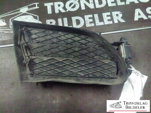 Grill venstre til Tesla Model S, 2013-2016 (Fase 1)  (TESLA|1007268-00-D)