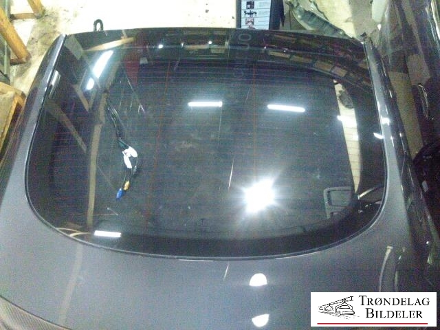 Bakluke til Tesla Model S 2013-2016 (Fase 1)  (1028348-E0-B|)
