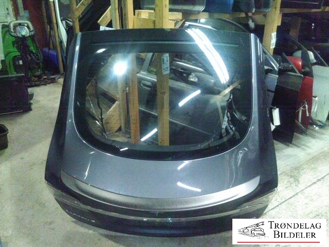 Bakluke til Tesla Model S 2013-2016 (Fase 1)  (1028348-E0-B|)