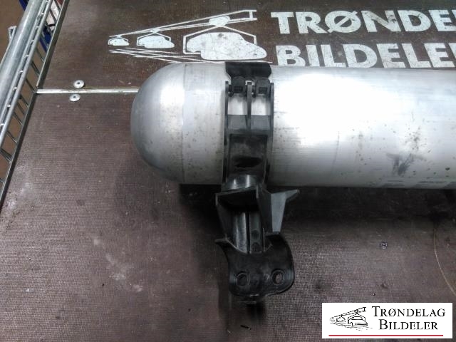 Lufttørke/regulator til Tesla Model S 2013-2016 (Fase 1) (6006408-00-B|111759|)