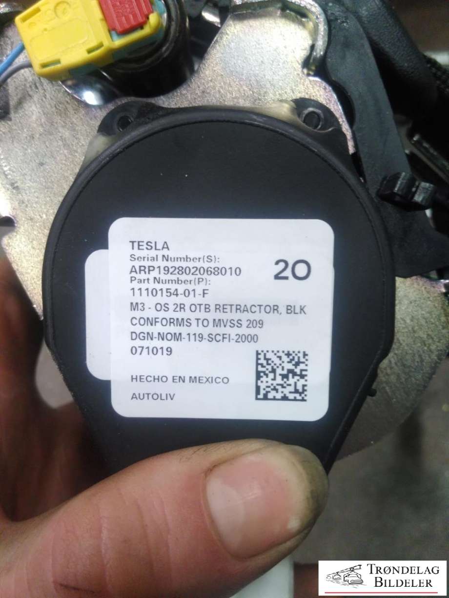 Sikkerhetsbelte bak venstre til Tesla Model 3 2018-2023 (Fase 1)  (1110154-01-F|ARP192802068010|)