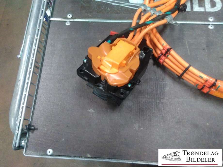 Batterilader inntak/luke til Tesla Model S 2013-2016 (Fase 1)  (1022620-00-G|T15A0382820|)