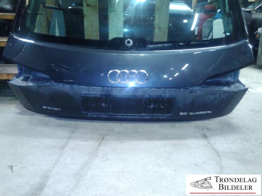 Bakluke til Audi e-tron 2018-->>  (4KE 827 025 B|)