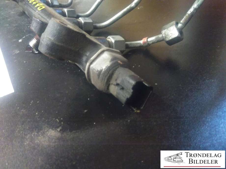 Dyseskinne (fuelrail) til SsangYong Kyron 2006-2008  (DELPHI|R9144Z190A|A6640700295|)