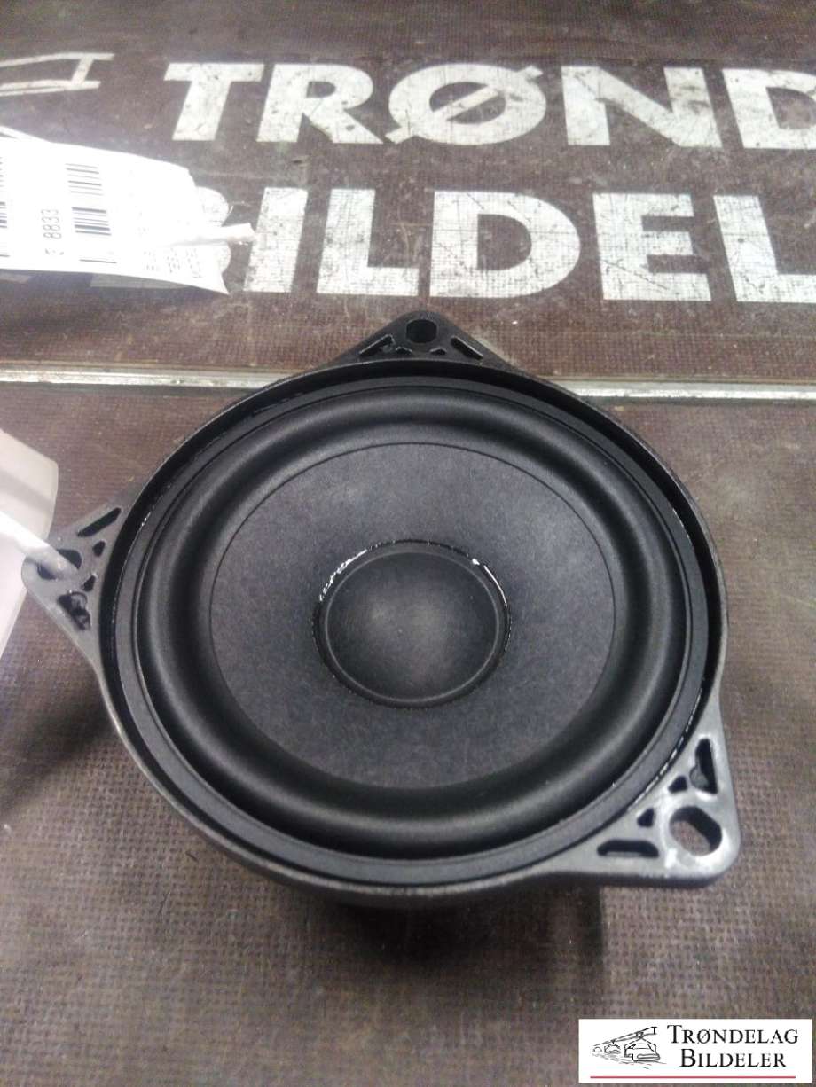 Bilstereo høyttaler til Tesla Model Y, 2021-2024 (Type I)  (1079742-00-B)