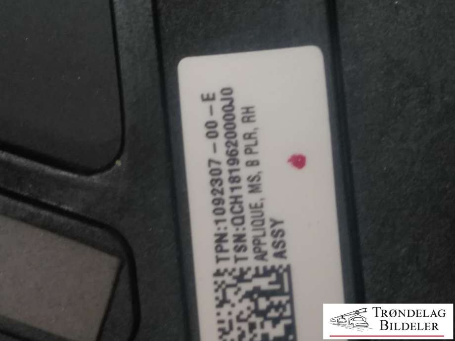 Karosseri: b-stolpe til Tesla Model S 2016-2021 (Fase 2)  (1069104-00-D|)
