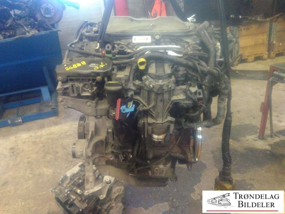 Motor diesel til Ford Focus 2011-2014 (Type III, Fase 1)  (TYDA|)