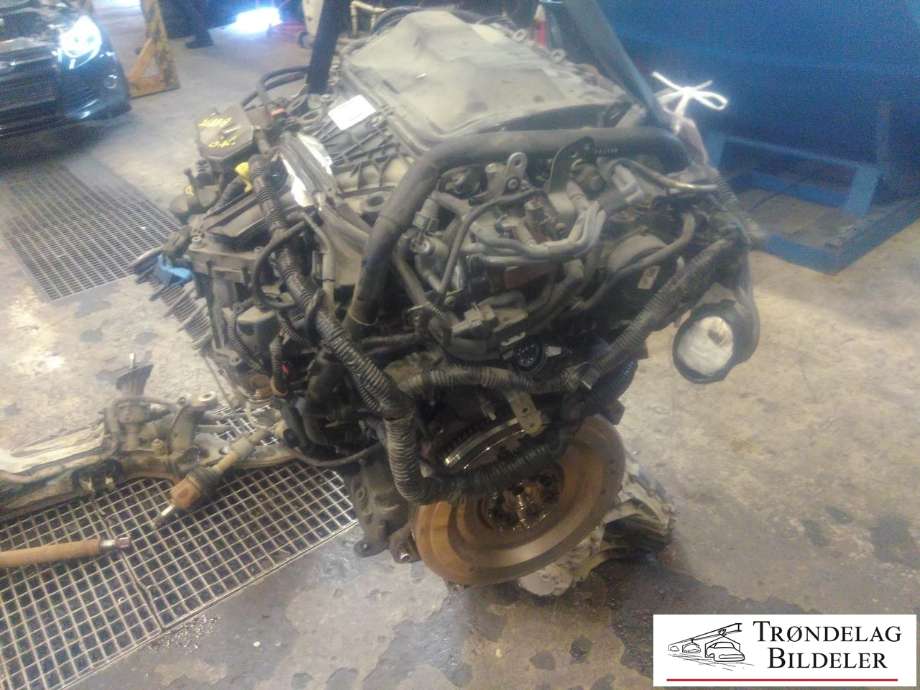 Motor diesel til Ford Focus 2011-2014 (Type III, Fase 1)  (TYDA|)
