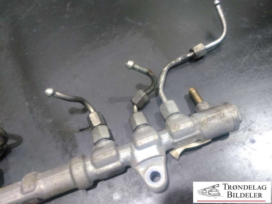 Dyseskinne (fuelrail) til Fiat Doblo 2010-->> (Type II)  (BOSCH|0 445 214 239|55232355|)