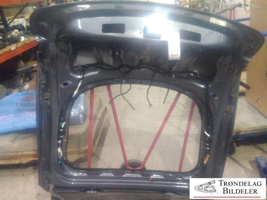 Bakluke til Tesla Model S, 2013-2016 (Fase 1)  (100263301E)