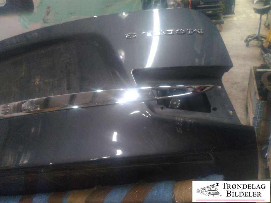 Bakluke til Tesla Model S 2013-2016 (Fase 1) (100263301E|)