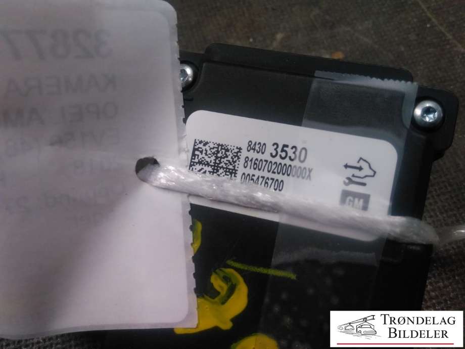 Kamera til Opel Ampera-e 2017-->> (Type II)  (005476700|84303530|)