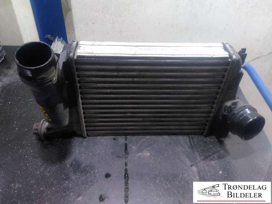 Intercooler til Nissan Qashqai, 2014-2021 (Type II) (144614EJ0A)