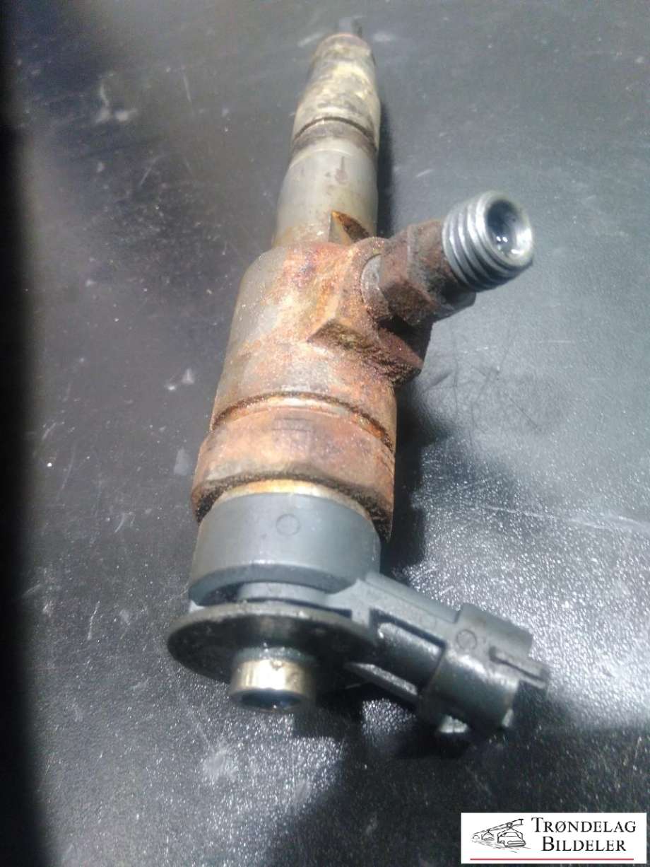 Dyse innsprøyting diesel til Ford Transit Connect 2013-2018 Type II, Fase 1  (0445110489|CV6Q9F593AA|CV6Q9F593A9A|CV8Q9F593AA|1745052)