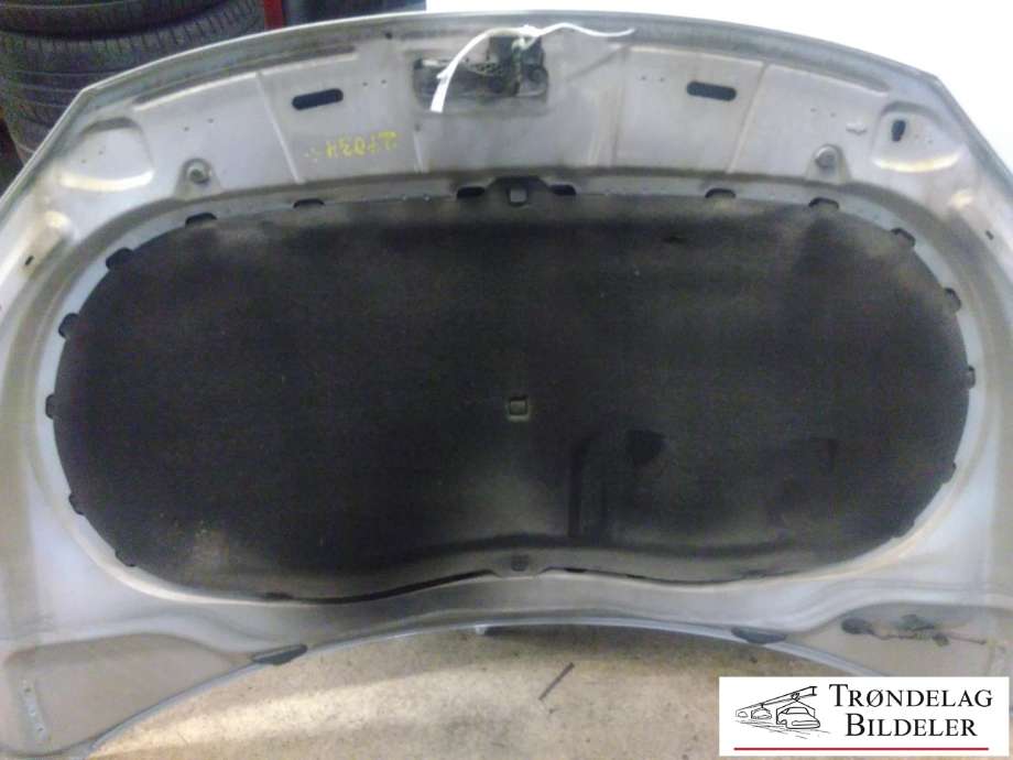 Panser til VW Tiguan 2007-2011 (Type I, Fase 1)  