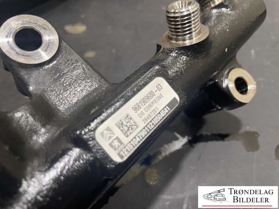 Dyseskinne (fuelrail) til Fiat Scudo 2007-2017 (Type II)  (9681909680|)