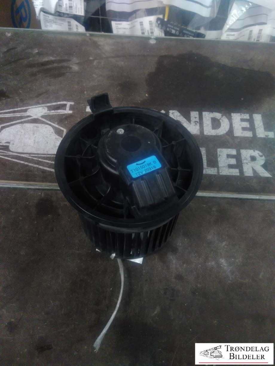 Varmeapparat motor til Nissan Leaf, 2011-2017 (Type I)  