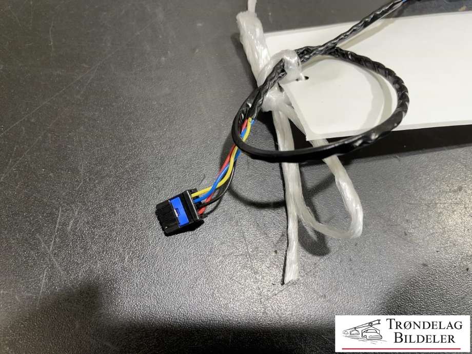 Kamera til Tesla Model 3 2018-2023 (Fase 1)  (1100619-00-C|SMS191143624540|)