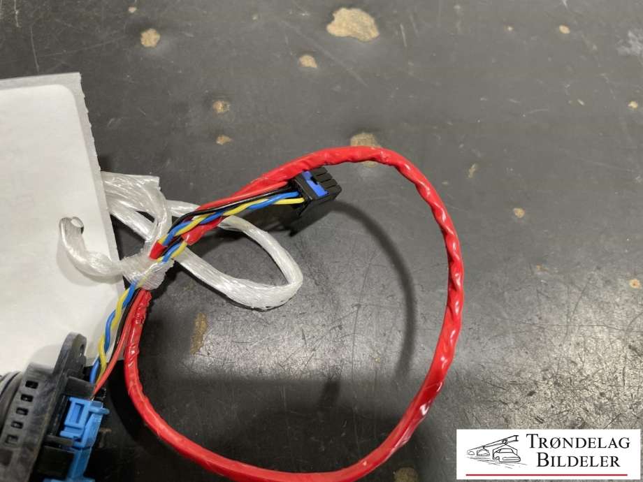 Kamera til Tesla Model 3 2018-2023 (Fase 1) (1092978-00-C|SMS190743242310|)