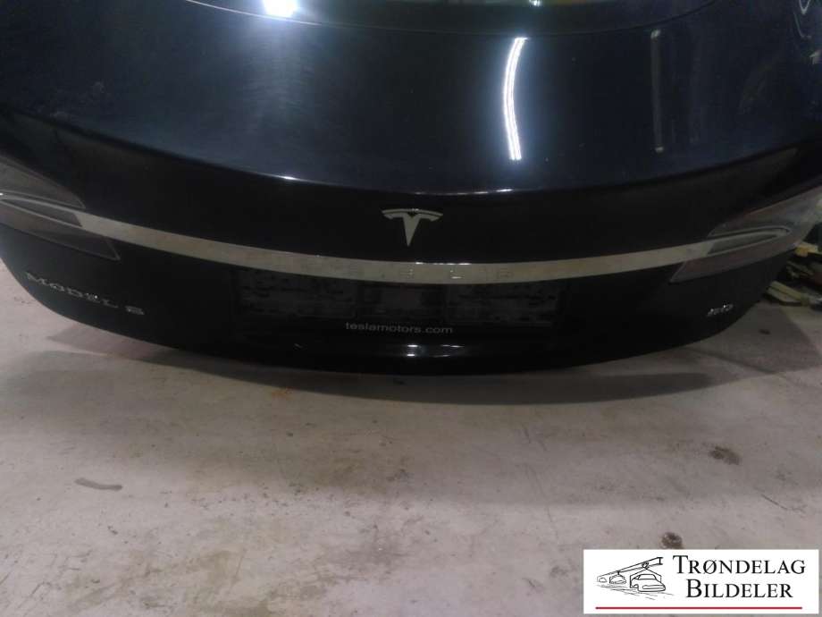 Bakluke til Tesla Model S 2013-2016 (Fase 1) (1028348-E0-B|)