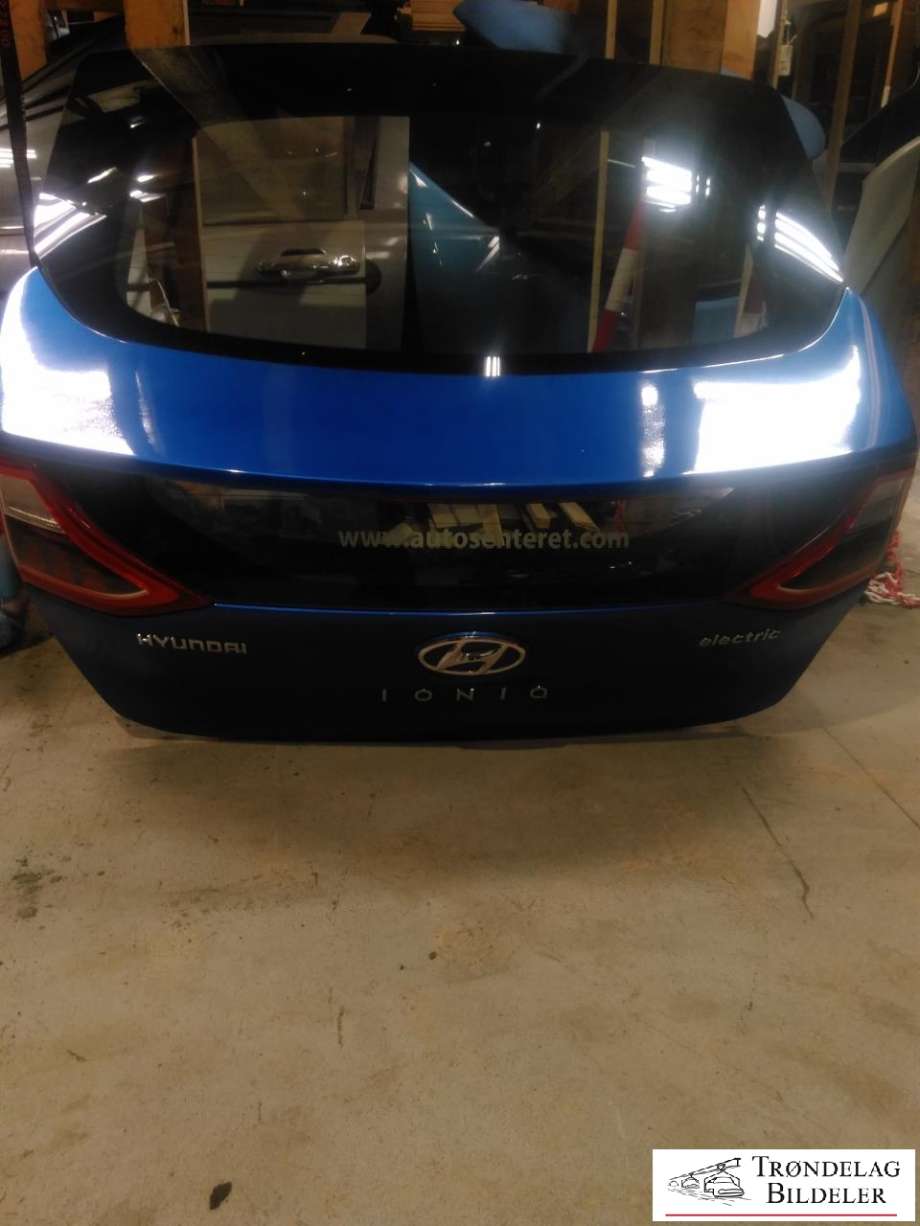 Bakluke til Hyundai Ioniq Electric 2016-2019 (Fase 1)  (73700G2000|)