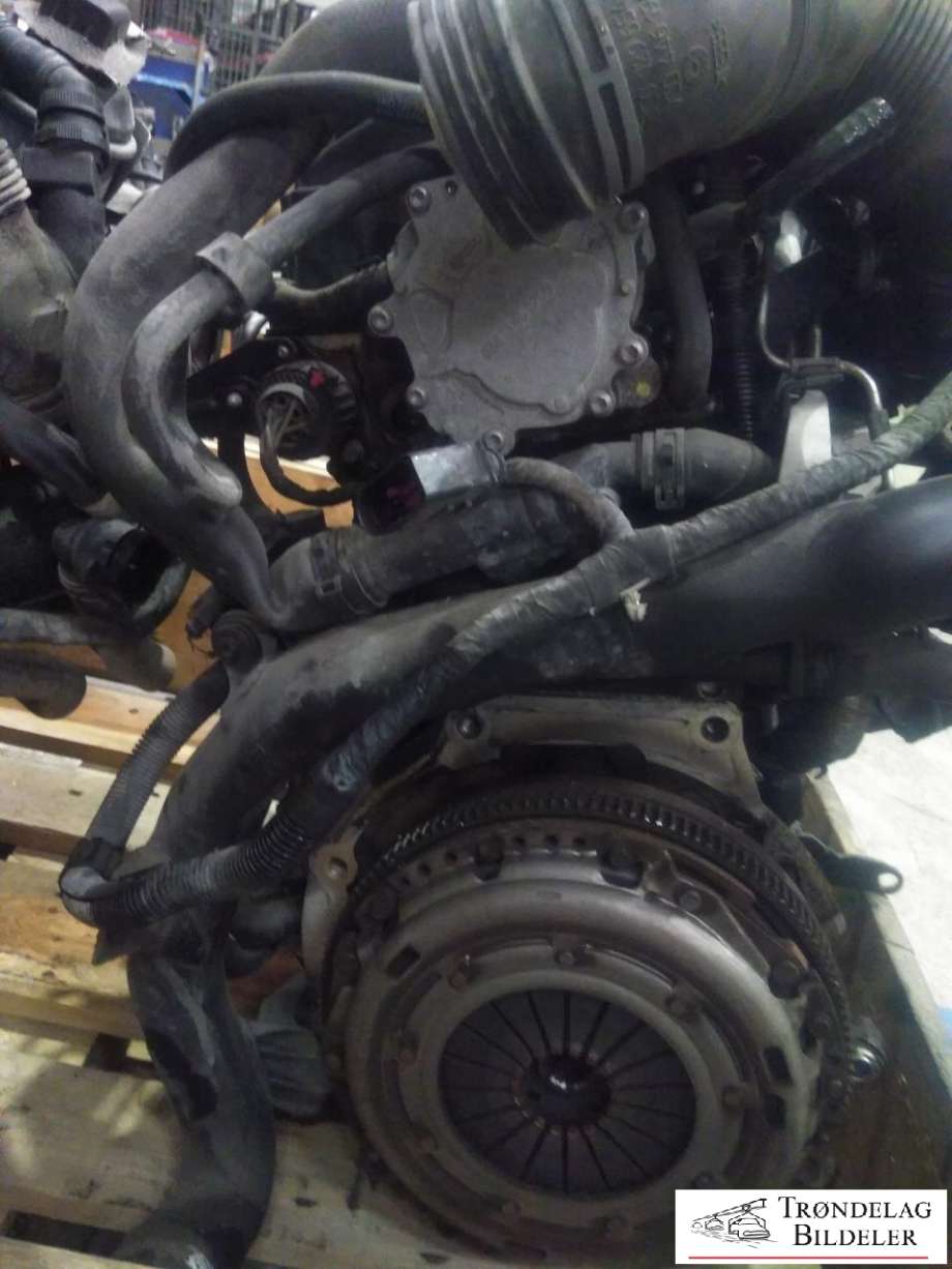 Motor diesel til Škoda Octavia 2005-2008 (Type II, Fase 1)  (BLS|)