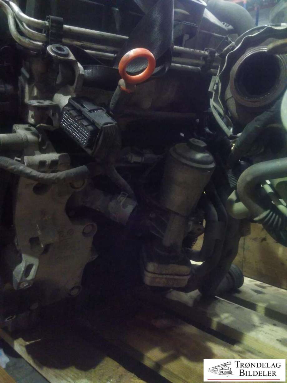 Motor diesel til Škoda Octavia 2005-2008 (Type II, Fase 1)  (BLS|)