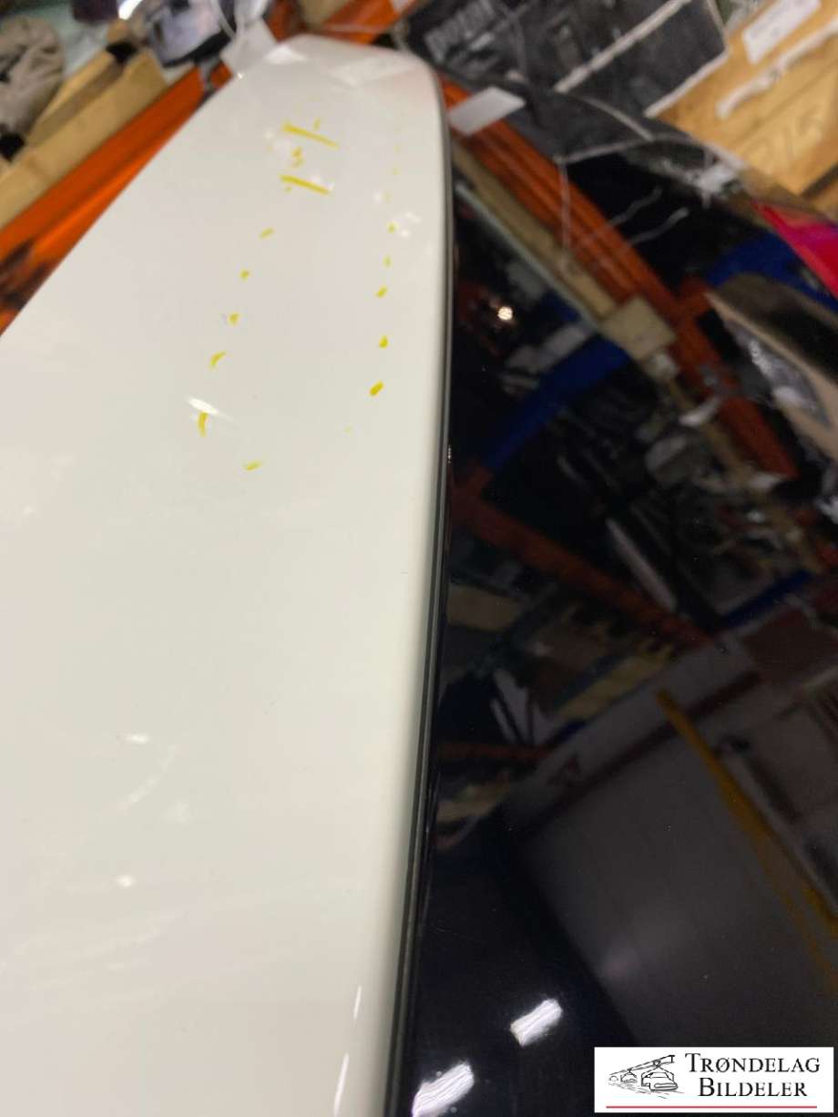 Bakluke til Nissan Leaf 2018-->> (Type II)  (K01005SHAB|)