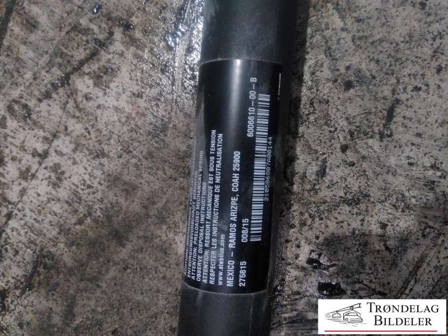 Baklukeåpner motor til Tesla Model S 2013-2016 (Fase 1)  (6006610-00-B|)