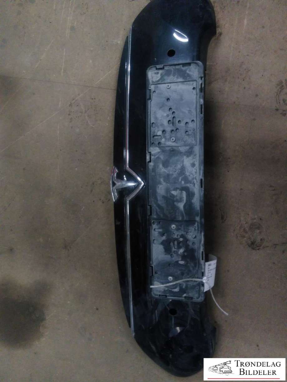 Grill til Tesla Model S, 2013-2016 (Fase 1)  