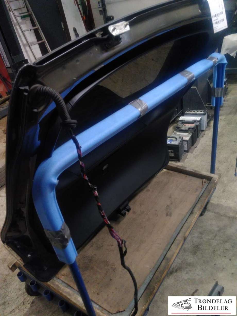 Bakluke til Tesla Model S 2016-2021 (Fase 2)  (1028348-E0-B|)