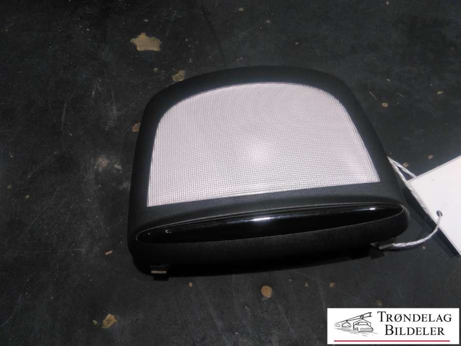 Taklyspanel til Mercedes ML, 2011-2015 (Fase 1) (W166) (W166) (A1669066500)
